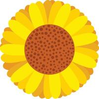 Sunflower isolated on a white background vector