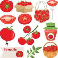 Set digital collage of red fresh tomato vector