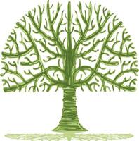 Green tree isolated on white vector