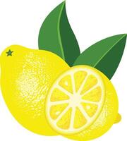 Yellow half and whole lemon with leaves vector