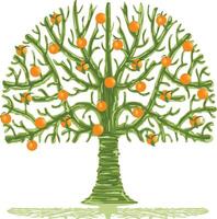 gracioso naranja árbol con Fresco naranjas vector