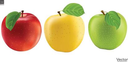 Red apple, Green apple, Yellow fresh apple isolated on white background vector