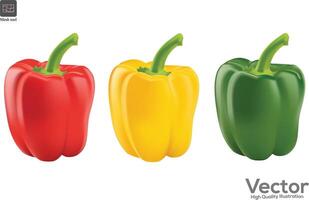 Three different colored and different types of sweet bell peppers and Fresh chilli pepper set on white background vector