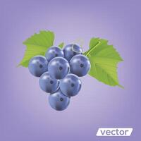 Grape cartoon icon. black muscatel grape benches. vector