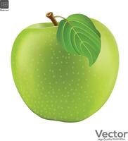 verde Fresco manzana aislado en blanco antecedentes. vector