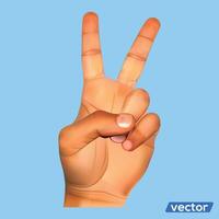 Hands holding gestures. Elegant female and male hand showing victory at something on white background vector