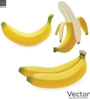 Banana icons on white background vector