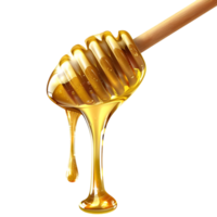 3d representación de un miel goteo desde un de madera cuchara transparente antecedentes png