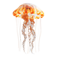 3D Rendering of a Jellyfish Transparent Background png