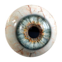 3D Rendering of a Human Eye Ball Transparent Background png