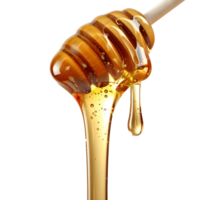 3d renderen van een honing druipend van een houten lepel transparant achtergrond png