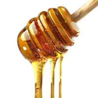 3D Rendering of a Honey dripping from a wooden spoon Transparent Background png