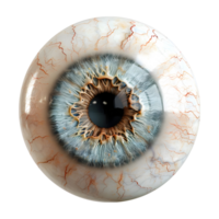 3D Rendering of a Human Eye Ball Transparent Background png