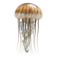 3D Rendering of a Jellyfish Transparent Background png