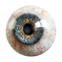 3d Renderização do uma humano olho bola transparente fundo png