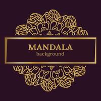 Golden mandala background vector