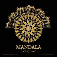 Golden mandala background vector