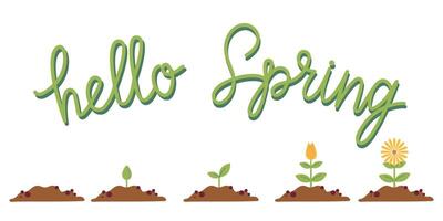 Flower life cycle. Growth stages from seed to flowering. Hello spring lettering. Flat colorful illustration for card, invitation, banner, stickers, poster. vector