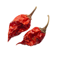 bewaren rood heet Chili paprika's png