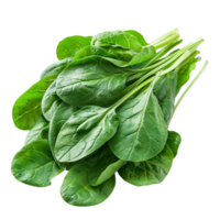 Incorporate More Spinach Into Your Diet for Better Health png