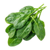 The Complete Guide to Growing Spinach at Home png