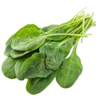 The Health Benefits of Spinach png