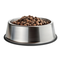 3D Rendering of a Dog Food in a Bowl Transparent Background png