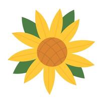 Yellow Sunflower with leaves in full blooming. Botanical flat illustration. Perfect for cards, logo, decorations, spring and summer designs. vector