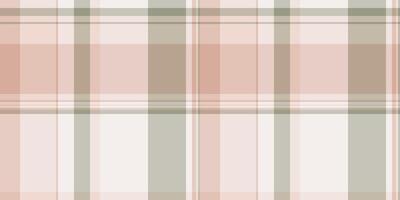 Rural fabric textile, veil plaid tartan pattern. Mosaic seamless texture check background in light and white colors. vector