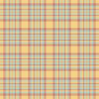 Texture tartan textile of background seamless with a check plaid fabric pattern. vector