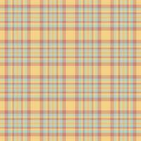 Texture tartan textile of background seamless with a check plaid fabric pattern. vector