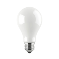 Shedding Light on Light Bulbs png