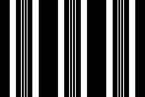Horizon lines seamless , fibrous pattern texture fabric. Damask textile background stripe vertical in black and white colors. vector
