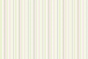 Fabric textile lines of texture stripe with a background pattern vertical seamless. vector