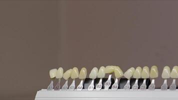 zirconio porcellana e impiantare studi nel il dentale laboratorio video