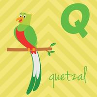 Cute cartoon zoo illustrated alphabet with funny animals. Spanish alphabet. Q for Quetzal in spanish. Learn to read. Isolated illustration. vector
