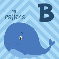 Cute cartoon zoo illustrated alphabet with funny animals. Spanish alphabet. B for Whale in spanish. Learn to read. Isolated illustration. vector