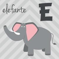 linda dibujos animados zoo ilustrado alfabeto con gracioso animales Español alfabeto. mi para elefante en español. aprender a leer. aislado ilustración. vector