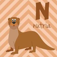 linda dibujos animados zoo ilustrado alfabeto con gracioso animales Español alfabeto. norte para nutria en español. aprender a leer. aislado ilustración. vector