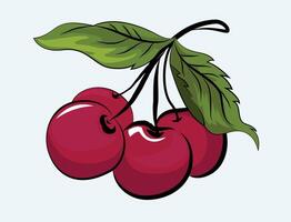 Red Cherry Fruit vector