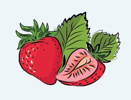 frutas rojo fresa vector