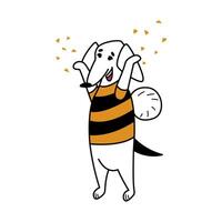 Funny cartoon comic dachshund. Pet in bee costume. White dog stands on its hind legs and throws confetti into the air. Cool print for children's clothes, accessories. Character for stickers, animation vector