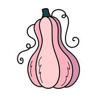 Cute pink autumn pumpkin. Hand drawn illustration for Halloween and Thanksgiving decoration. vector