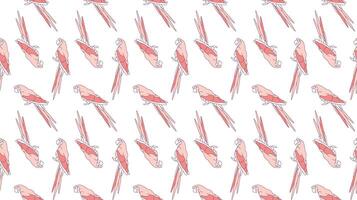 de moda sin costura modelo con monocromo rosado guacamayo loros plano línea animal pájaro ilustración. pastel antecedentes con selva aves. bebé y niños impresión para fondo de pantalla, superficie texturas, ropa vector