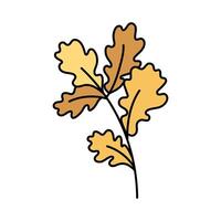 Cute yellow twig with oak leaves. Hand drawn detailed illustration. vector