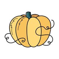 Cute yellow autumn pumpkin. Hand drawn illustration for Halloween and Thanksgiving decoration. vector