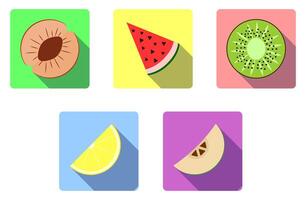 Set of square bright flat icons with summer fresh fruits. Simple icons for highlights in social networks. Illustrations for logo design, emblems, labels. For cocktail bar, restaurant menu, hotel vector