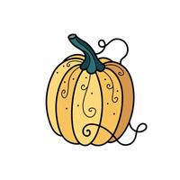 Cute autumn yellow pumpkin with ornament hand drawn clipart vector