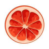 Grapefruit slice simple illustration. Ripe juicy fruit. Bright cartoon flat clipart vector