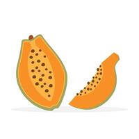 Papaya fruit. Exotic fruit. Half and quarter papaya. illustration in flat style vector